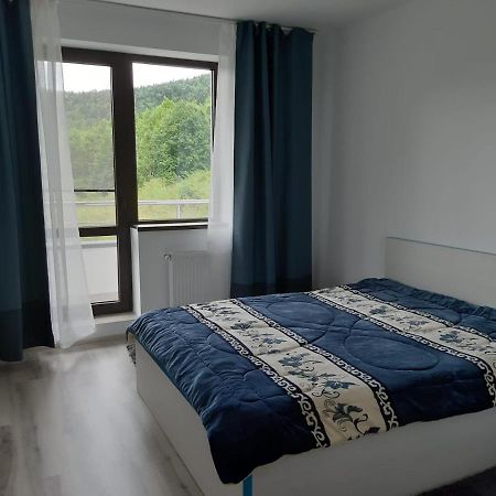 Apartament Dorin Colina Marei Sinaia Zewnętrze zdjęcie