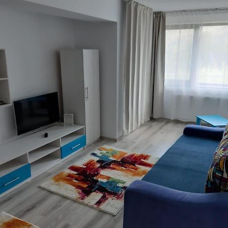 Apartament Dorin Colina Marei Sinaia Zewnętrze zdjęcie