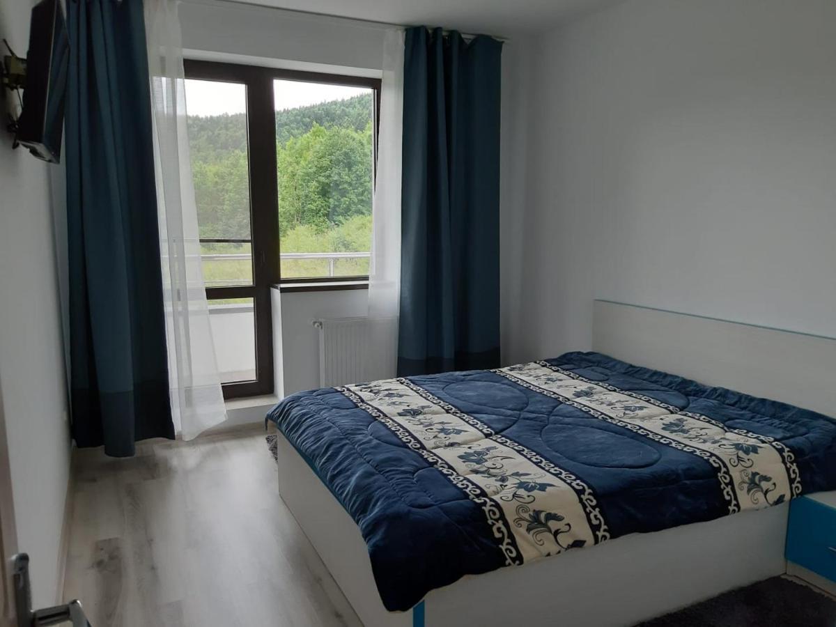 Apartament Dorin Colina Marei Sinaia Zewnętrze zdjęcie
