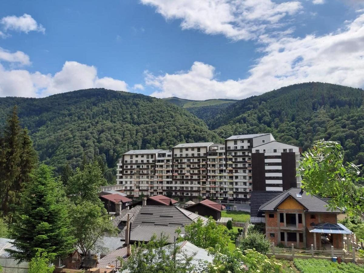 Apartament Dorin Colina Marei Sinaia Zewnętrze zdjęcie